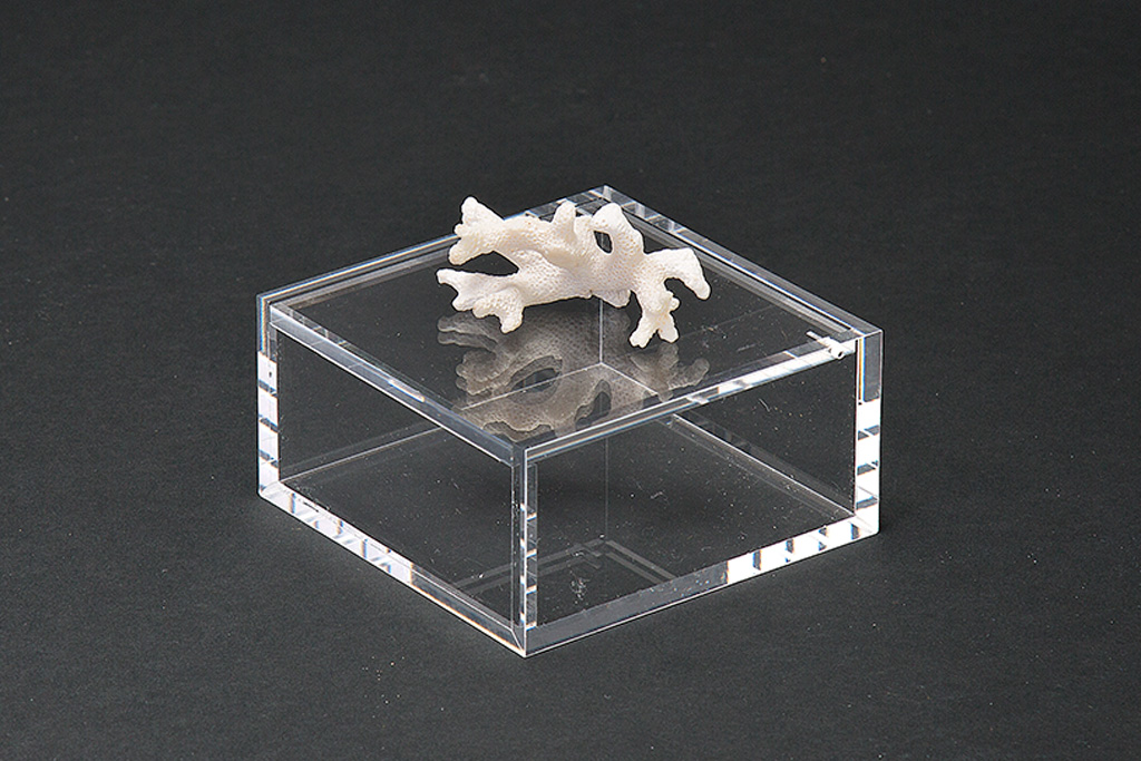 Bomboniera in plexiglas trasparente