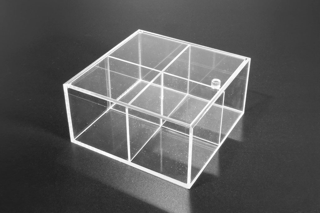 Scatola in plexiglas trasparente 4 comparti con coperchio